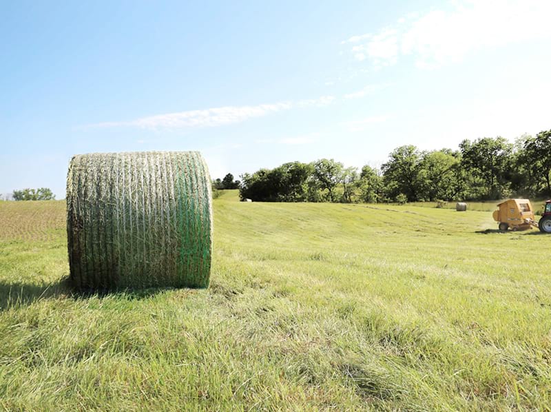 Bale-Net-Wrap