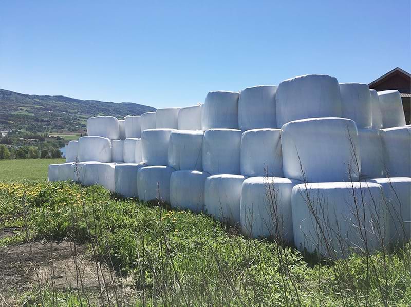 Silage-Film