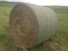 Hay Bales