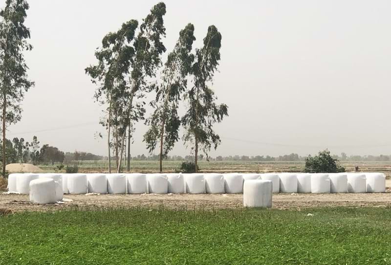 Silage-Film1