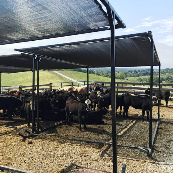 Shade-Rolls-for-Livestock-Shading-Structure-5