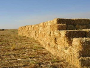 Large Square Hay
