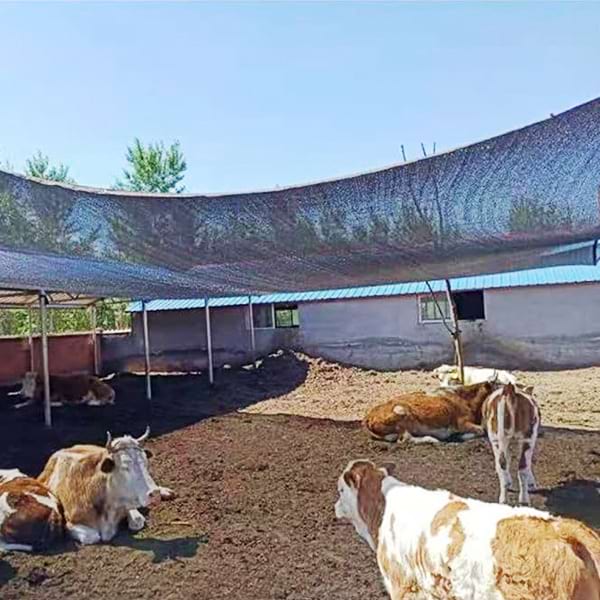 Shade-Rolls-for-Livestock-Shading-Structure-2