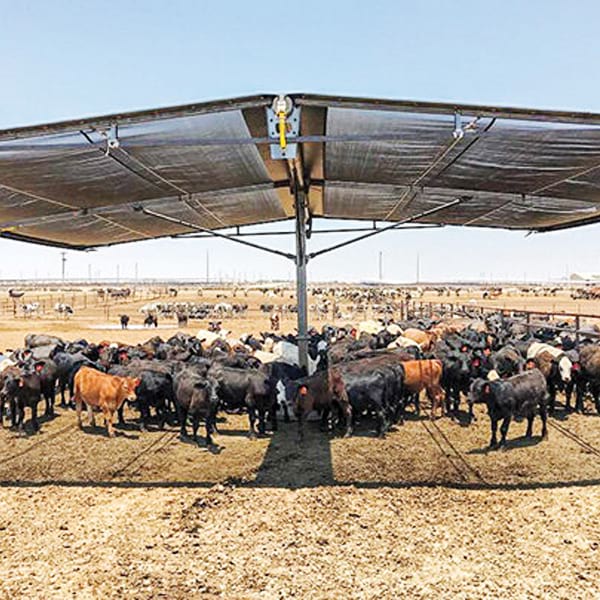 Shade-Rolls-for-Livestock-Shading-Structure-1