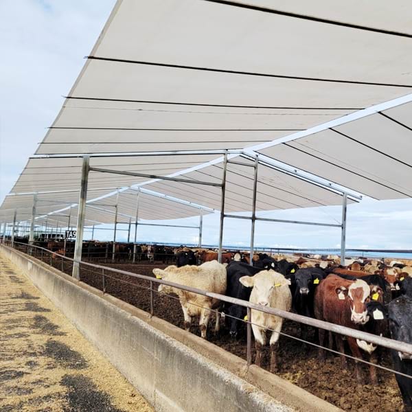 Shade-Rolls-for-Livestock-Shading-Structure-4