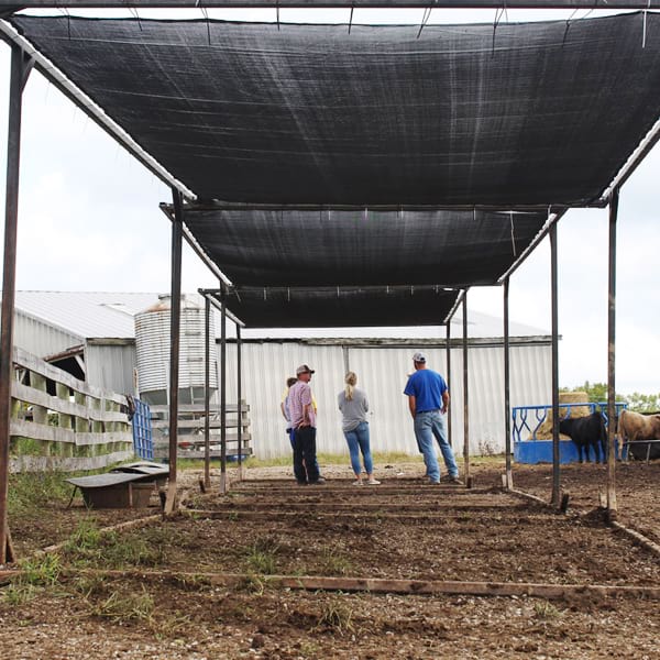 Shade-Rolls-for-Livestock-Shading-Structure-3