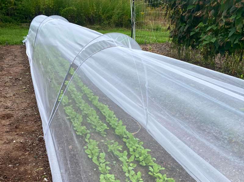 Anti Insect Net