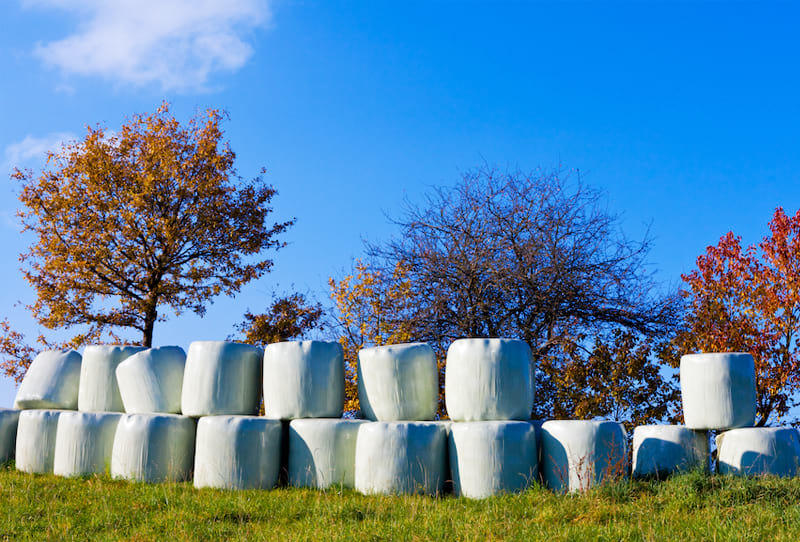 Silage-Film3