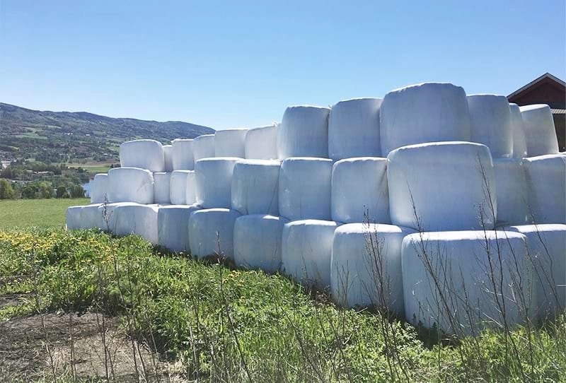 silage films