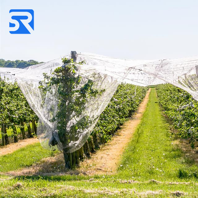 Anti-Hail Net