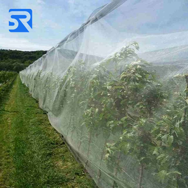 Anti Insect Net