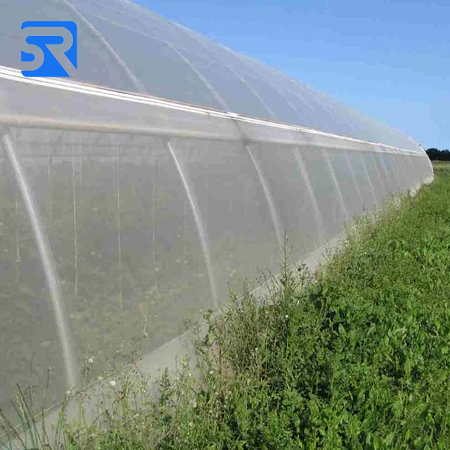 Anti Insect Net