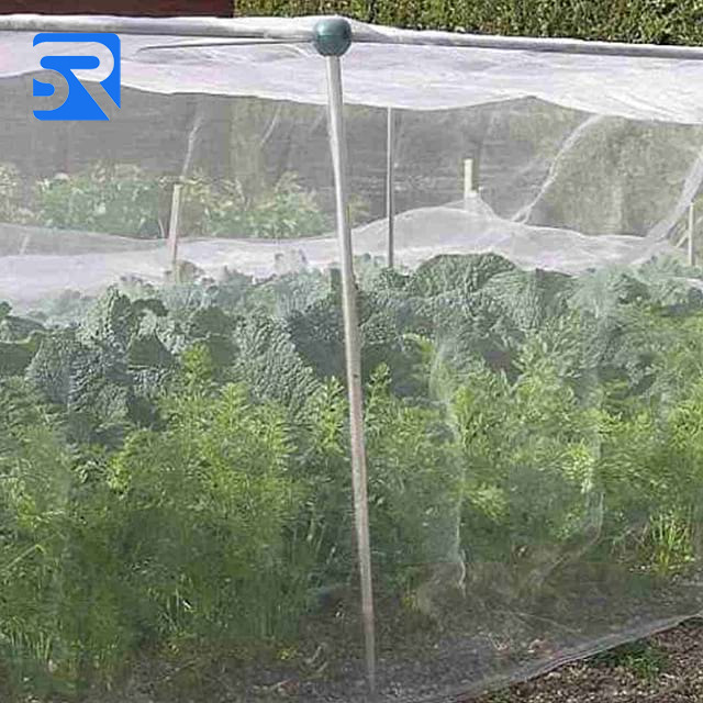 Anti Insect Net