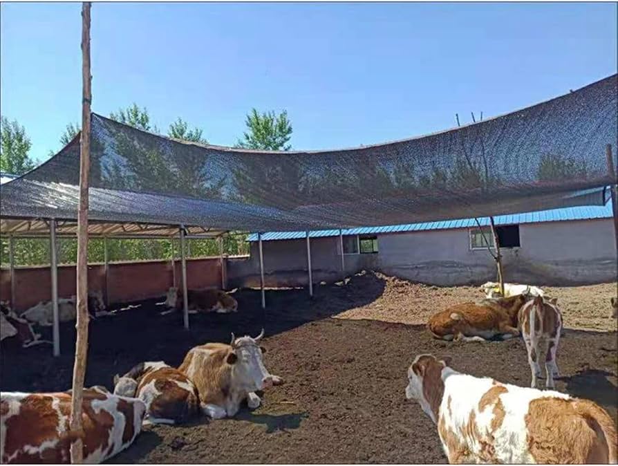 Enhancing Productivity: The Role of Shade Nets in Livestock Farming