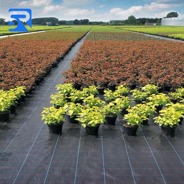 Weed Control Fabric