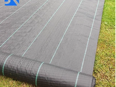 How To Install Ground Cover Fabric for Long-Lasting Weed Protection