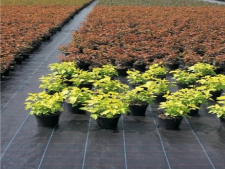 Why High Quality Ground Cover Fabric Is The Smart Choice for Weed Control