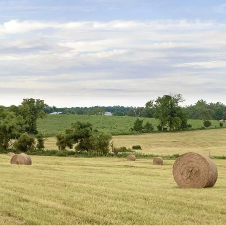 Common Problems with Silage Bale Wrap & How To Prevent Silage Loss