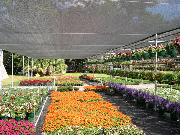 What is the Best Shade Cloth for Greenhouse?