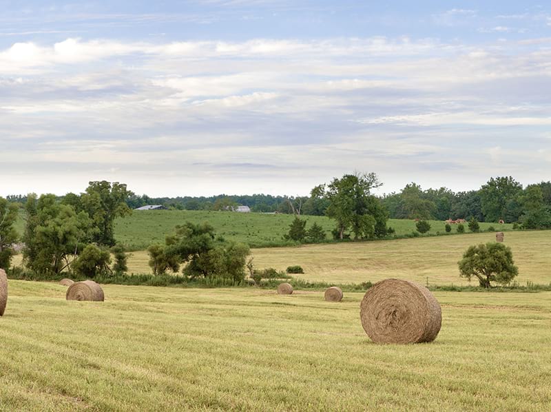 Silage Bale Wrap