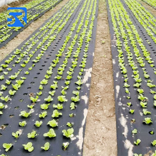 Non-Woven Weed Mat