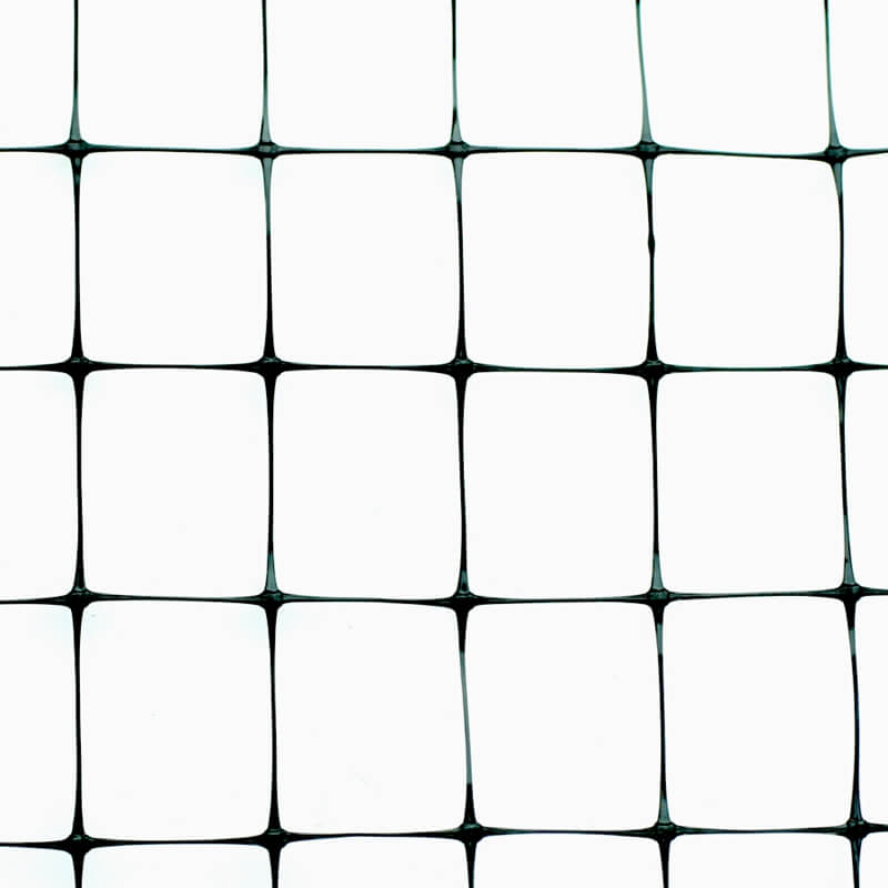 mole net04