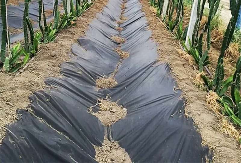 Non-woven-weed-control-cloth (1)