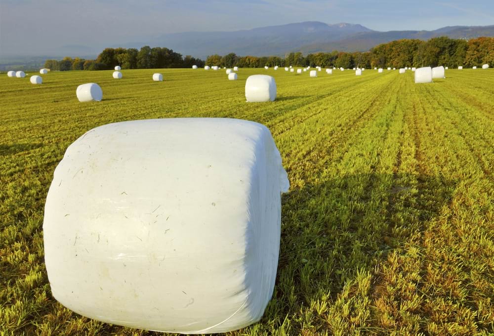 What Is Silage Film?